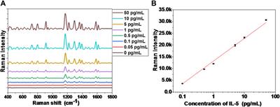 Au nanorod assembly for sensitive SERS detection of airway inflammatory factors in sputum